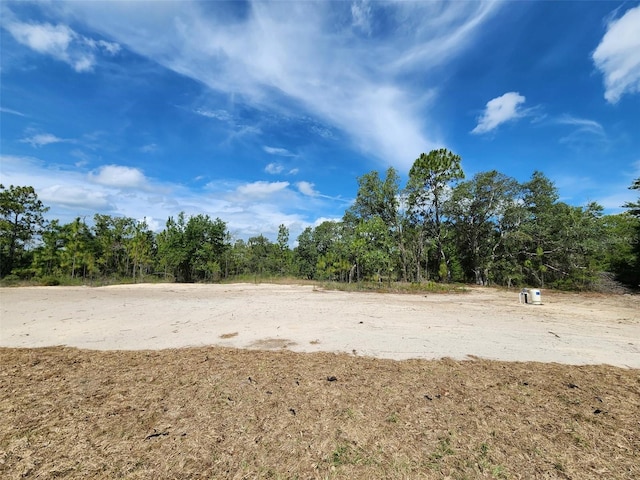 1780 Winding Hills Rd, Dunnellon, FL 34431 - view of yard
