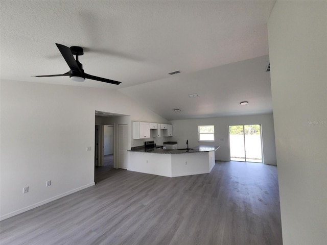 1780 Winding Hills Rd, Dunnellon, FL 34431 - unfurnished living room featuring lofted ceiling, wood finished floors, and ceiling fan