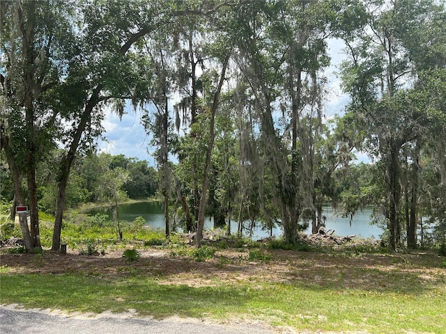 185 Malauka Loop, Ocklawaha, FL 32179 - water view