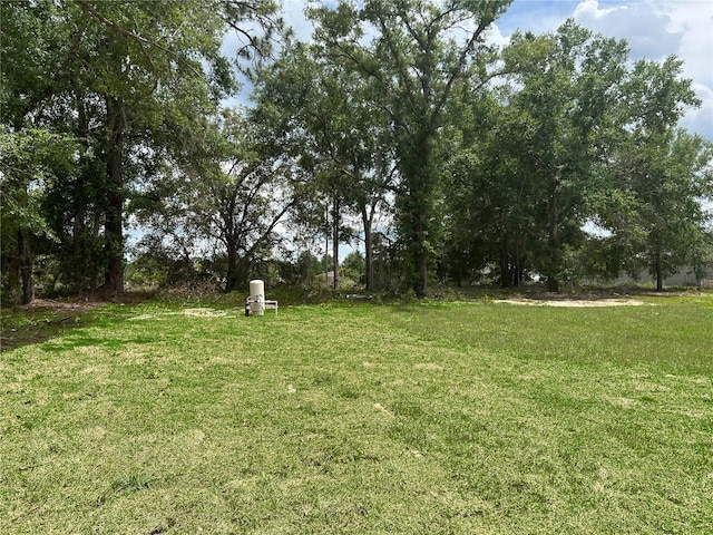 185 Malauka Loop, Ocklawaha, FL 32179 - view of grassy yard