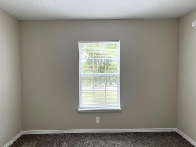 185 Malauka Loop, Ocklawaha, FL 32179 - empty room with dark colored carpet and plenty of natural light