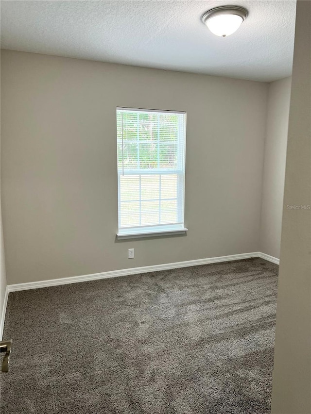 185 Malauka Loop, Ocklawaha, FL 32179 - unfurnished room with carpet and a textured ceiling