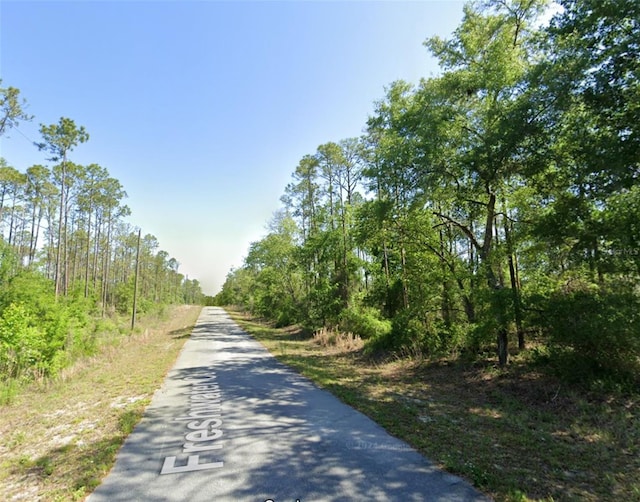 00 SW Freshwater Ct, Dunnellon, FL 34431