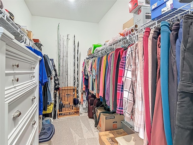 19424 SW 77th Loop, Dunnellon, FL 34432 - spacious closet featuring carpet