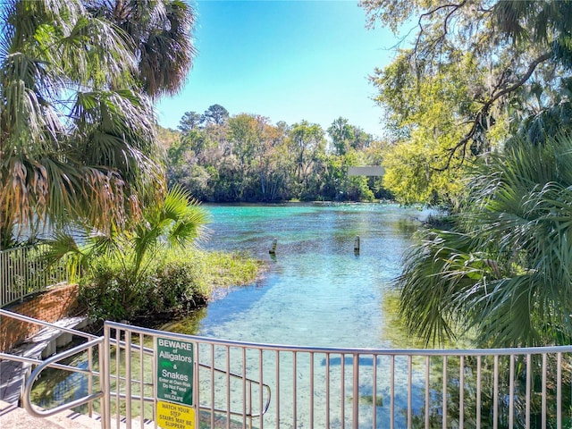 19424 SW 77th Loop, Dunnellon, FL 34432 - water view