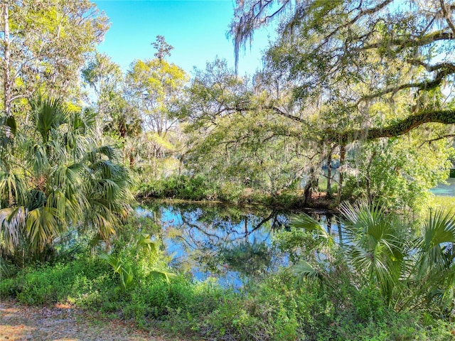 19424 SW 77th Loop, Dunnellon, FL 34432 - water view