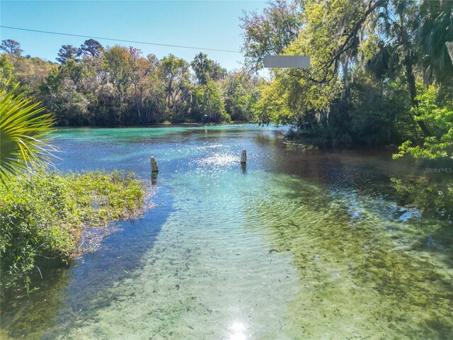 19424 SW 77th Loop, Dunnellon, FL 34432 - water view