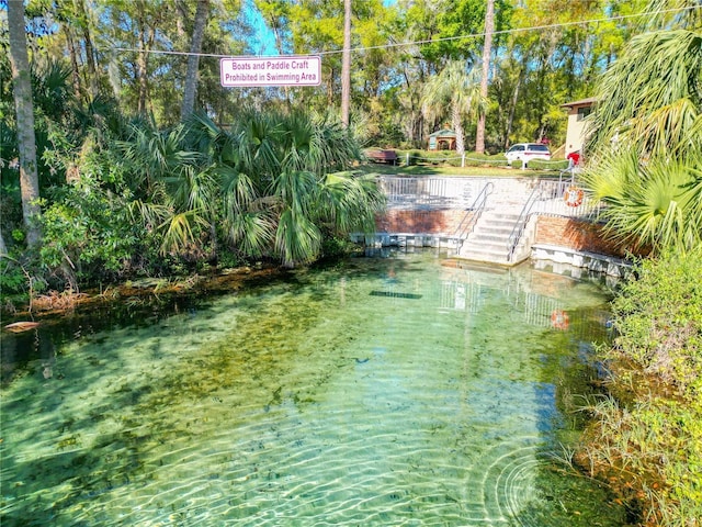 19424 SW 77th Loop, Dunnellon, FL 34432 - view of yard