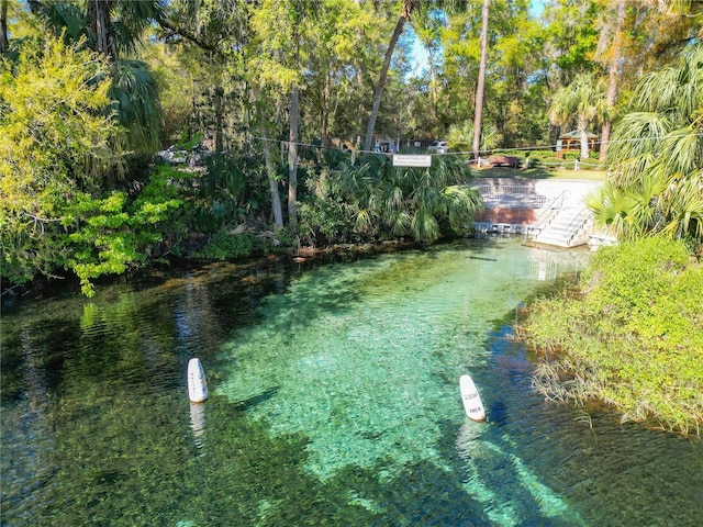 19424 SW 77th Loop, Dunnellon, FL 34432 - water view with a tree filled landscape