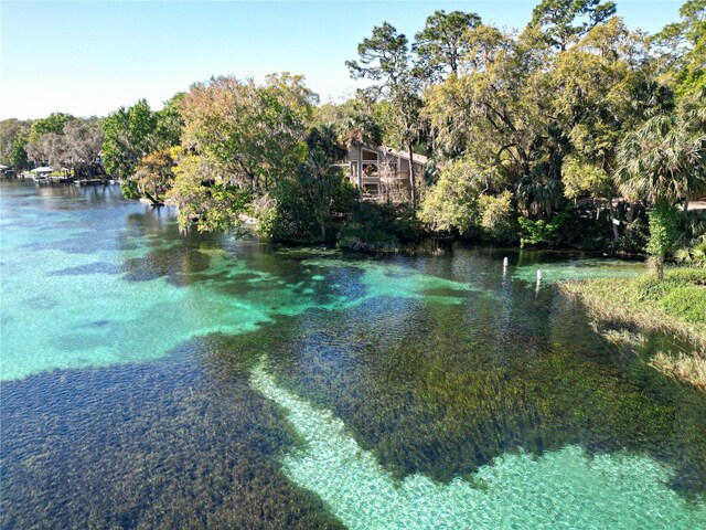 19424 SW 77th Loop, Dunnellon, FL 34432 - water view with a forest