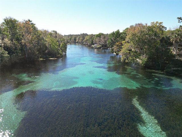 19424 SW 77th Loop, Dunnellon, FL 34432 - water view with a forest
