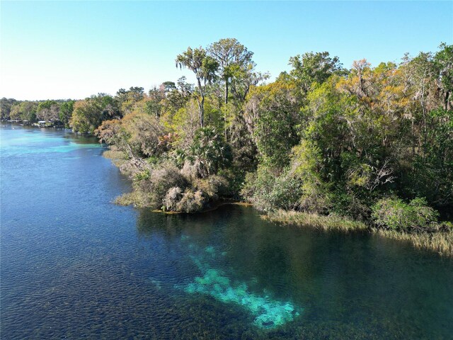 19424 SW 77th Loop, Dunnellon, FL 34432 - water view with a forest