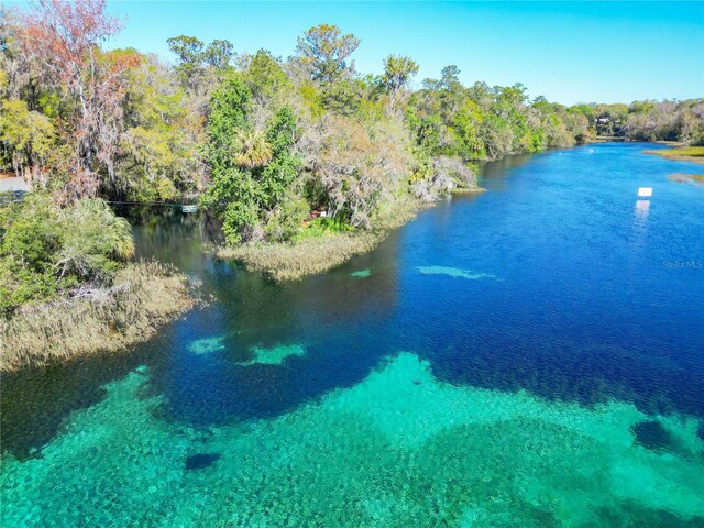 19424 SW 77th Loop, Dunnellon, FL 34432 - aerial view of a heavily wooded area and a large body of water
