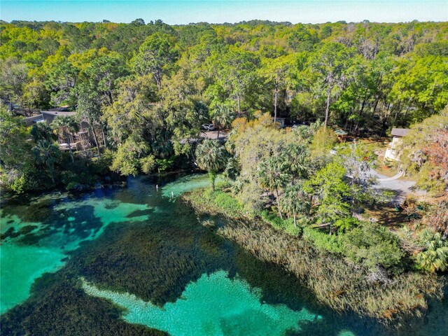19424 SW 77th Loop, Dunnellon, FL 34432 - bird's eye view of a heavily wooded area