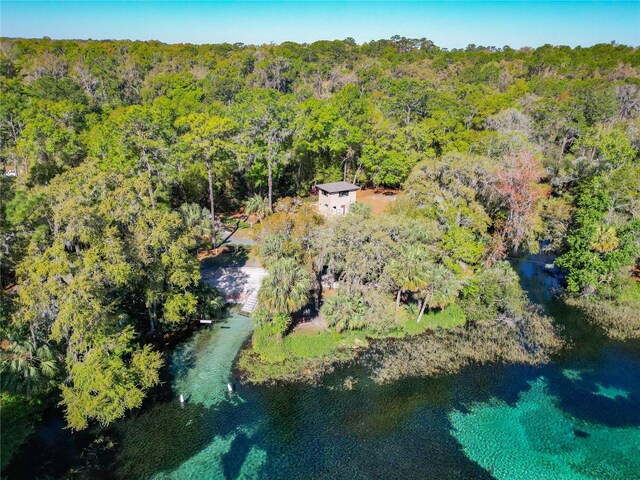 19424 SW 77th Loop, Dunnellon, FL 34432 - bird's eye view of a heavily wooded area