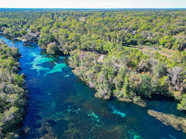 19424 SW 77th Loop, Dunnellon, FL 34432 - aerial view of a forest and a nearby body of water