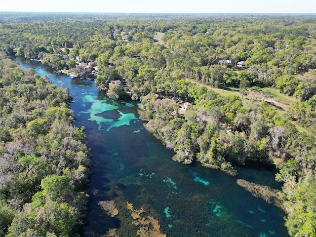 19424 SW 77th Loop, Dunnellon, FL 34432 - aerial view of property's location with a forest and a large body of water