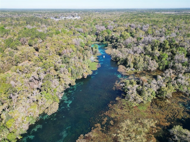 19424 SW 77th Loop, Dunnellon, FL 34432 - aerial view of property's location featuring a heavily wooded area and a large body of water