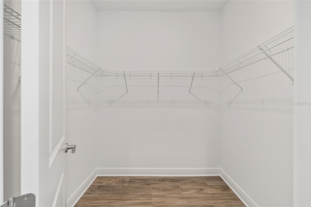 10561 SW 98th Pl, Ocala, FL 34481 - walk in closet with wood finished floors