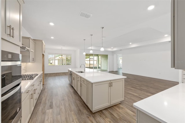 10561 SW 98th Pl, Ocala, FL 34481 - kitchen featuring light wood-style floors, appliances with stainless steel finishes, light countertops, recessed lighting, and under cabinet range hood