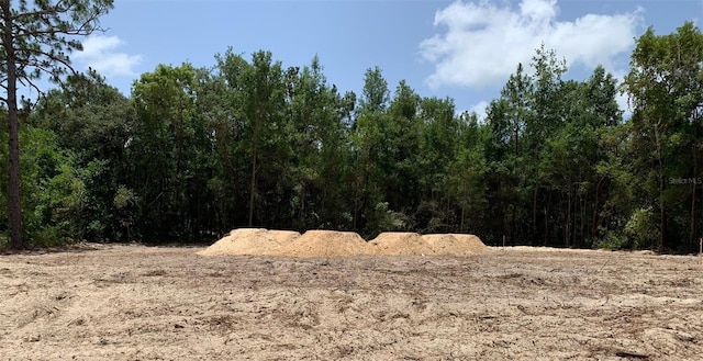 1782 W Mesa Verde Dr, Beverly Hills, FL 34465 - view of tree filled area