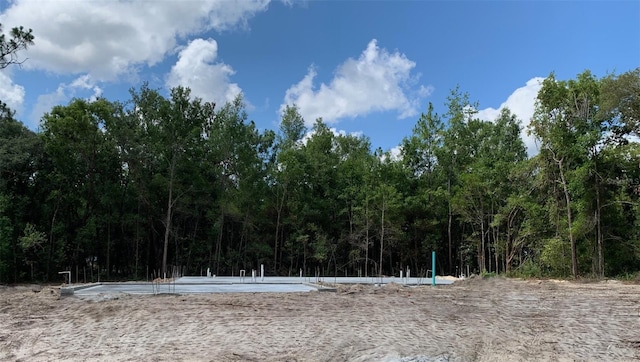 1782 W Mesa Verde Dr, Beverly Hills, FL 34465 - view of yard featuring a forest view