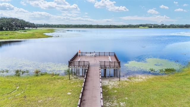 732 SW Fig Tree Ln, Dunnellon, FL 34431 - photo 29