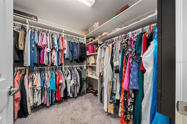 11330 SW 61st Cir, Ocala, FL 34476 - walk in closet with carpet