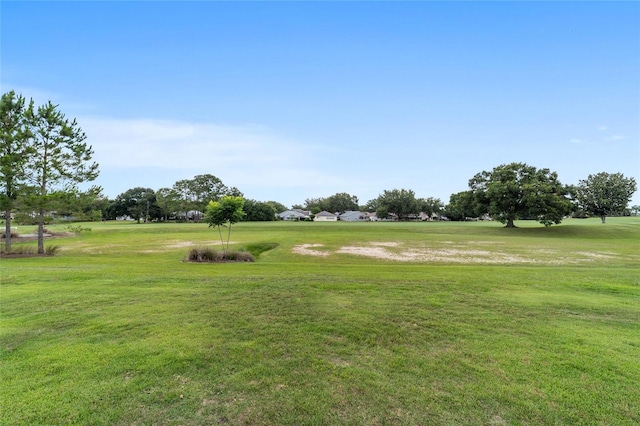 9236 SW 91st Court Rd, Ocala, FL 34481 - surrounding community featuring a yard