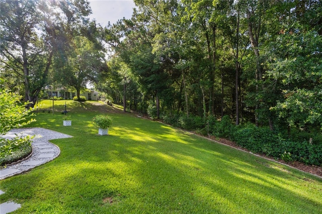 11598 SW 74th Ct, Ocala, FL 34476 - photo 29