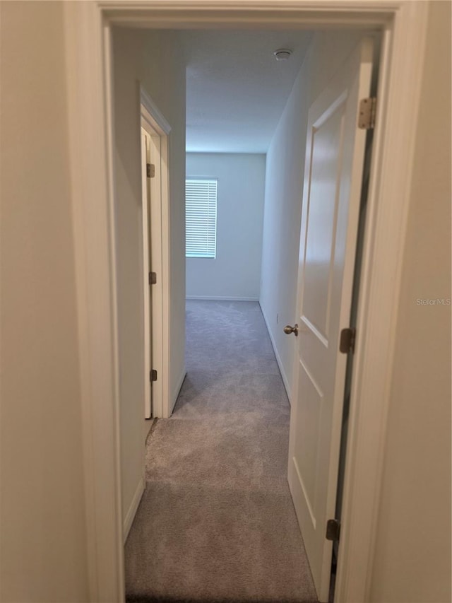 5962 SW 80th Ln, Ocala, FL 34476 - photo 26