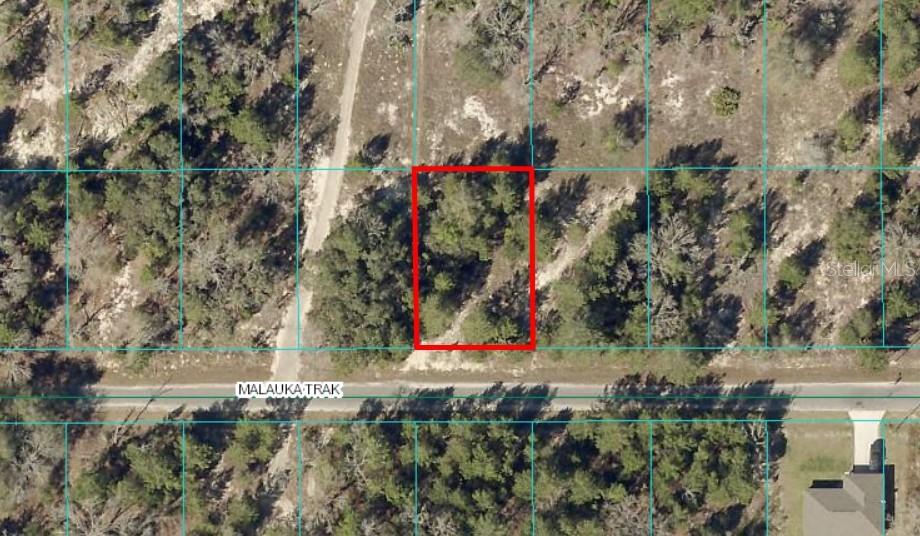 TBDLOT12 Malauka Trak, Ocklawaha, FL 32179 - photo 1
