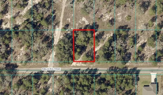 TBDLOT12 Malauka Trak, Ocklawaha, FL 32179
