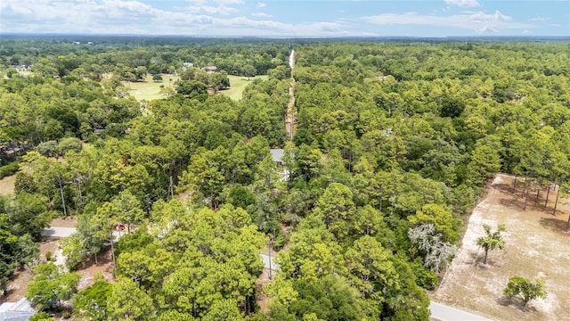 8605 SW 209th Court Rd, Dunnellon, FL 34431 - photo 61