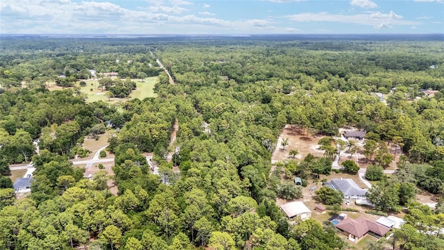 8605 SW 209th Court Rd, Dunnellon, FL 34431 - photo 64