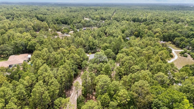 8605 SW 209th Court Rd, Dunnellon, FL 34431 - photo 68