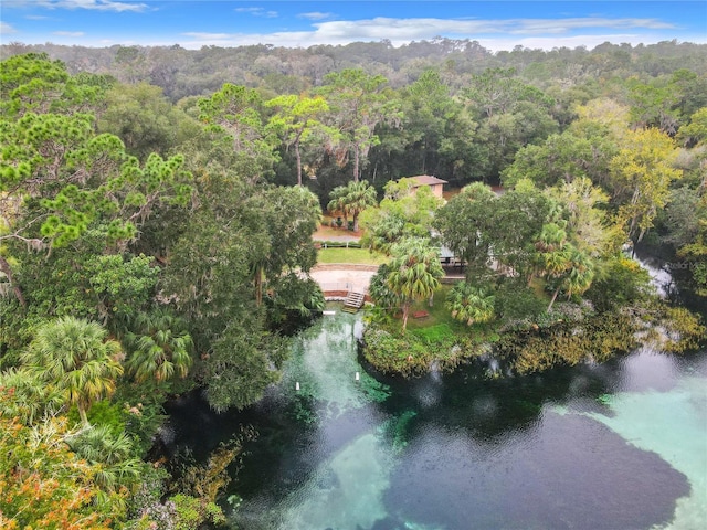8605 SW 209th Court Rd, Dunnellon, FL 34431 - photo 80