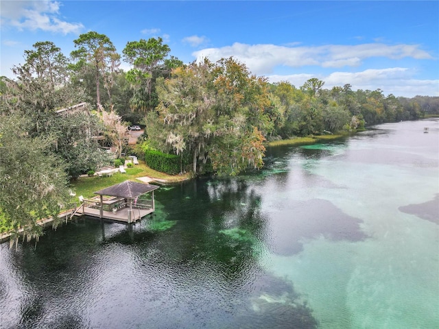 8605 SW 209th Court Rd, Dunnellon, FL 34431 - photo 81