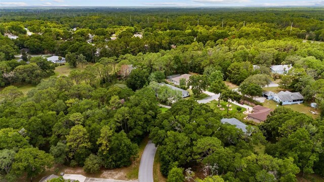 9213 SW 197th Cir, Dunnellon, FL 34432 - photo 66