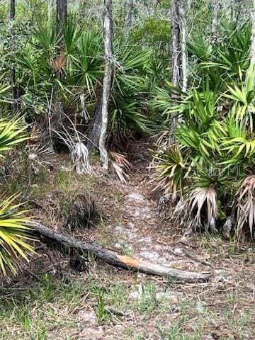 21081 Granville Rd, North Fort Myers, FL 33917