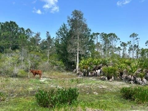 21081 Granville Rd, North Fort Myers, FL 33917