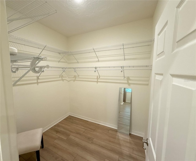 8303 SW 78th Cir, Ocala, FL 34476 - photo 13