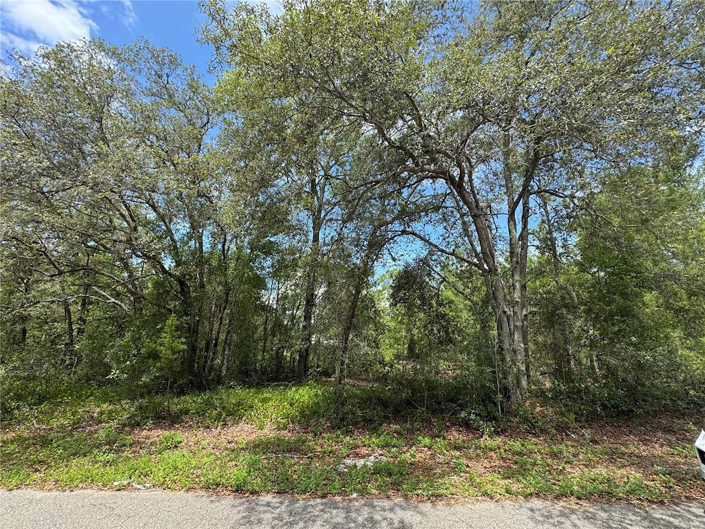 0 Fisher Lane Way Lot # 8, Ocklawaha, FL 32179