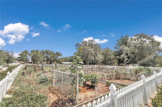 9069 SW 91st Cir, Ocala, FL 34481 - view of yard featuring a vegetable garden