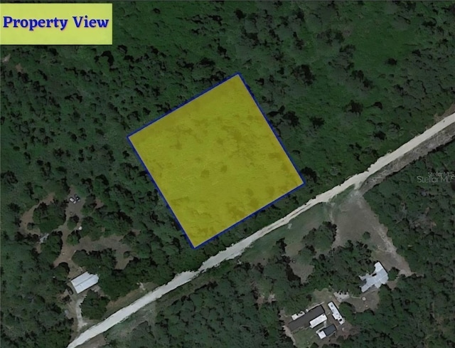 208 N 2nd Ave, Satsuma, FL 32189 - photo 4