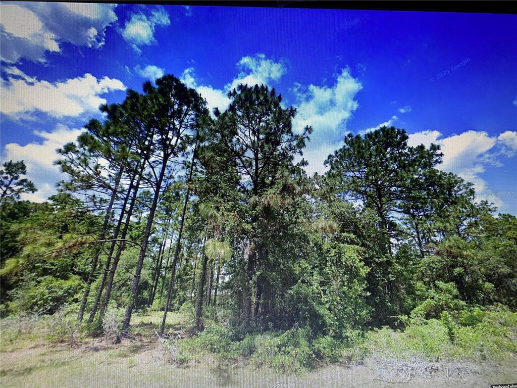 0 SW 135th Loop, Ocala, FL 34473 - photo 1