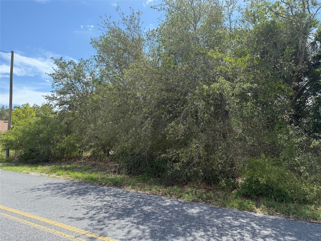 TBD Locust Lane Pass, Ocala, FL 34472