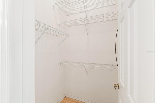 9180 SW 202nd Avenue Rd, Dunnellon, FL 34431 - view of spacious closet