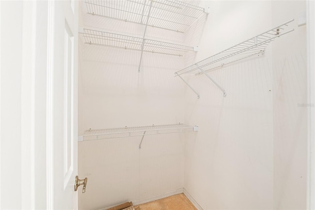 9180 SW 202nd Avenue Rd, Dunnellon, FL 34431 - view of walk in closet