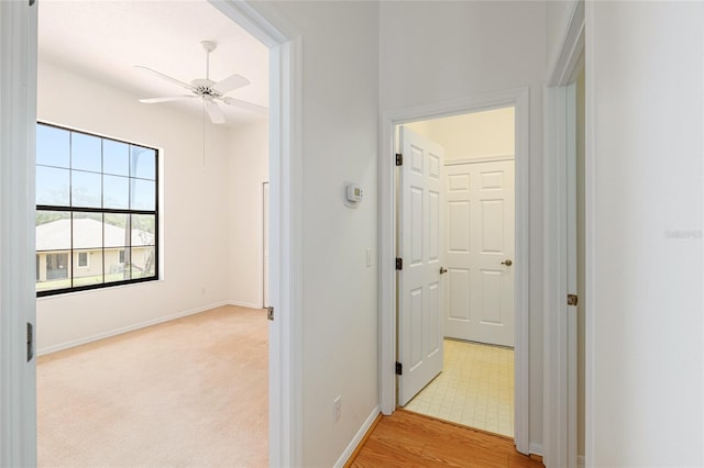 9180 SW 202nd Avenue Rd, Dunnellon, FL 34431 - corridor featuring baseboards